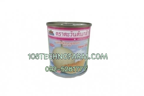 แคนตาลูปสวีท D25 20g.